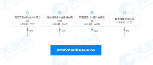 海南數(shù)字貿(mào)易科技服務(wù)公司成立，阿里巴巴持股40%引領(lǐng)數(shù)字技術(shù)服務(wù)新浪潮
